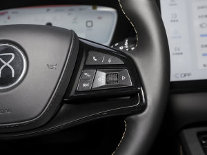 2023DM-p (zhn) п؅^(q)