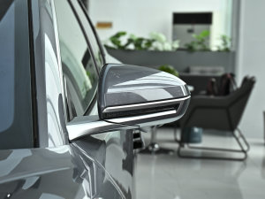 2023DM-i ܊ 121KM  (ji)^