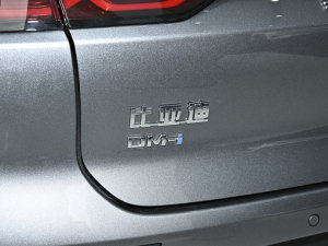 2023DM-i ܊ 121KM  ^