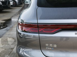 2023DM-i ܊ 200KM Ş (x)(ji)^