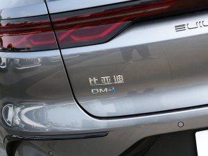 2023DM-i ܊ 200KM Ş (x)(ji)^