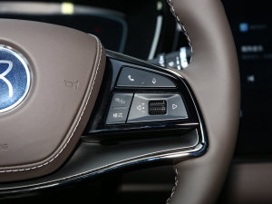 2023DM-i ܊ 200KM Ş п؅^