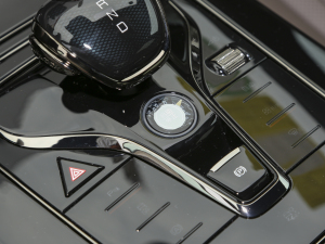 2023DM-i ܊ 121KM F п؅^(q)