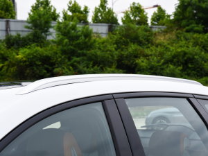 2023܊ DM-i 110KMԽ ^