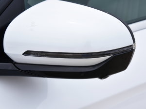 2023܊ DM-i 110KMԽ ^