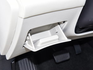 2023܊ DM-i 110KMԽ g