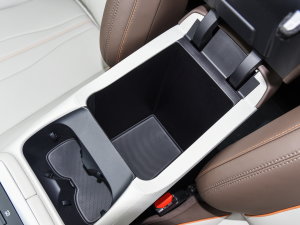 2023܊ DM-i 110KMԽ g