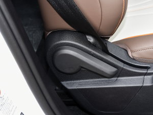 2023܊ DM-i 110KMԽ g