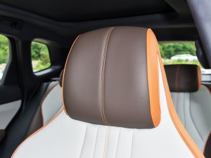 2023܊ DM-i 110KMԽ g