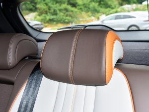 2023܊ DM-i 110KMԽ g