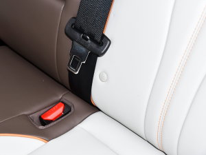 2023܊ DM-i 110KMԽ g