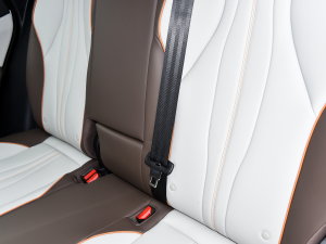 2023܊ DM-i 110KMԽ g