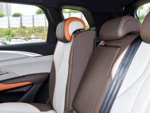 2023܊ DM-i 110KMԽ g