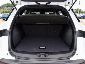 2023܊ DM-i 110KMԽ g