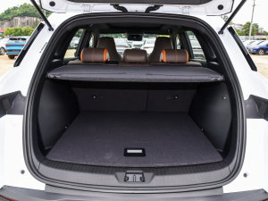 2023܊ DM-i 110KMԽ g