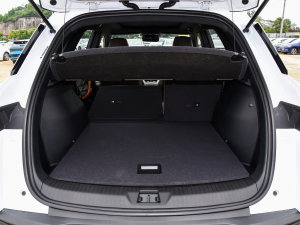 2023܊ DM-i 110KMԽ g