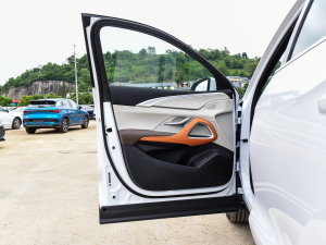 2023款冠军版 DM-i 110KM超越型 驾驶位车门