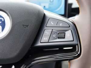 2023܊ DM-i 110KMԽ п؅^