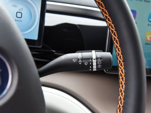 2023܊ DM-i 110KMԽ п؅^