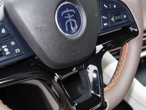 2023܊ DM-i 110KMԽ п؅^