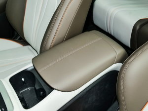 2023܊ DM-i 110KM׿Խ 