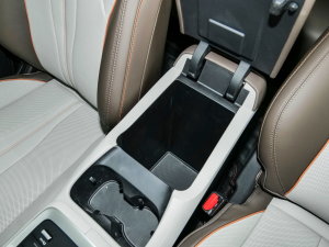 2023܊ DM-i 110KM׿Խ g