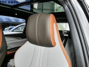 2023܊ DM-i 110KM׿Խ g