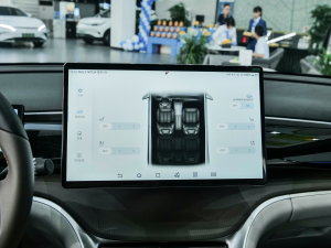 2023܊ DM-i 110KM׿Խ g