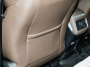 2023܊ DM-i 110KM׿Խ g