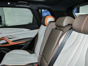 2023܊ DM-i 110KM׿Խ g