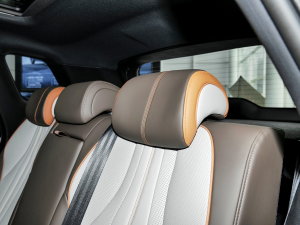 2023܊ DM-i 110KM׿Խ g