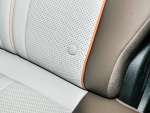 2023܊ DM-i 110KM׿Խ g