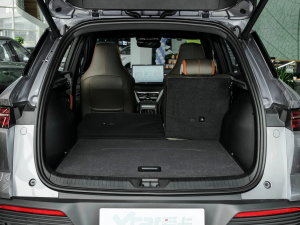 2023܊ DM-i 110KM׿Խ g