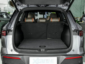 2023܊ DM-i 110KM׿Խ g