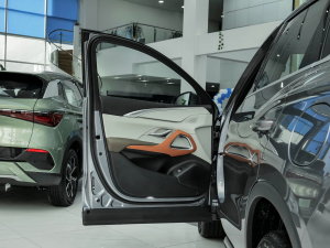 2023܊ DM-i 110KM׿Խ {λ܇T