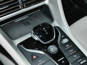 2023款冠军版 DM-i 110KM卓越型 换挡杆