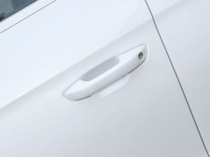 2023܊ DM-i 71KMI {T