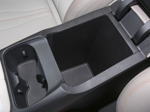 2023܊ DM-i 71KMI(lng) g