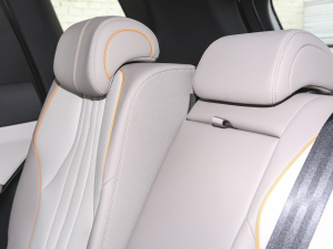 2023܊ DM-i 71KMI(lng) g