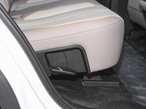 2023܊ DM-i 71KMI(lng) g