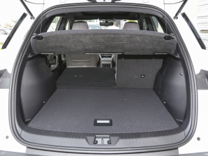 2023܊ DM-i 71KMI(lng) g