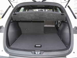 2023܊ DM-i 71KMI(lng) g