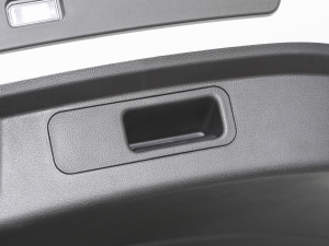 2023܊ DM-i 71KMI(lng) g