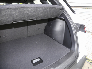 2023܊ DM-i 71KMI(lng) g