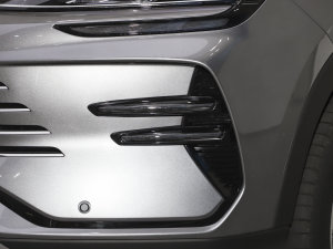 2023܊ DM-i 110KM Ş (ji)^