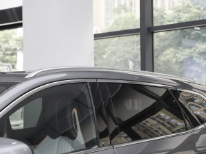 2023܊ DM-i 110KM Ş ^