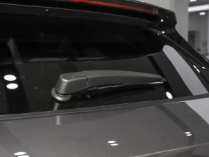 2023܊ DM-i 110KM Ş ^