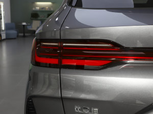 2023܊ DM-i 110KM Ş ^