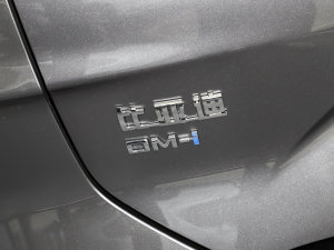 2023܊ DM-i 110KM Ş ^