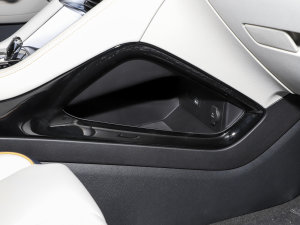 2023܊ DM-i 110KM Ş g